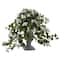 2ft. White Bougainvillea Flowering Plant with Decorative Urn